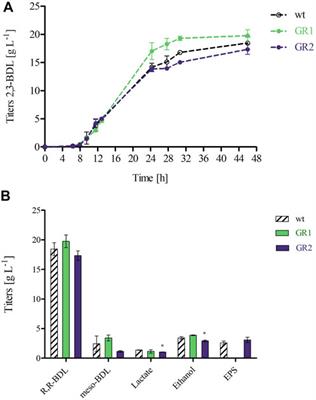 Genome reduction in Paenibacillus polymyxa DSM 365 for chassis development